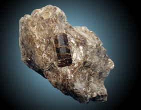 mineral-1-turmalin-dravit-z-lokality-dravograd-v-slovinsku-foto-pb